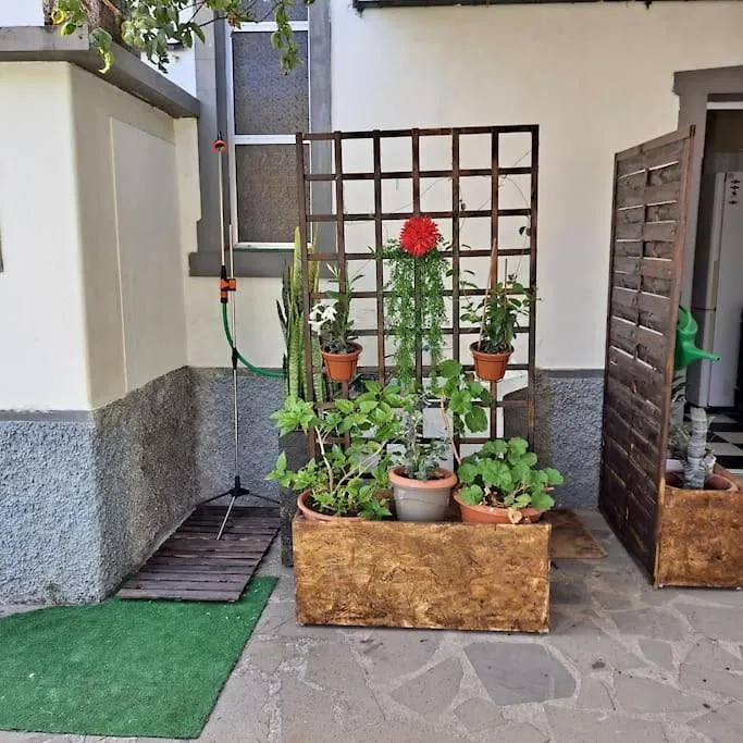 Chale Funchal - City View Country house Funchal (Madeira)